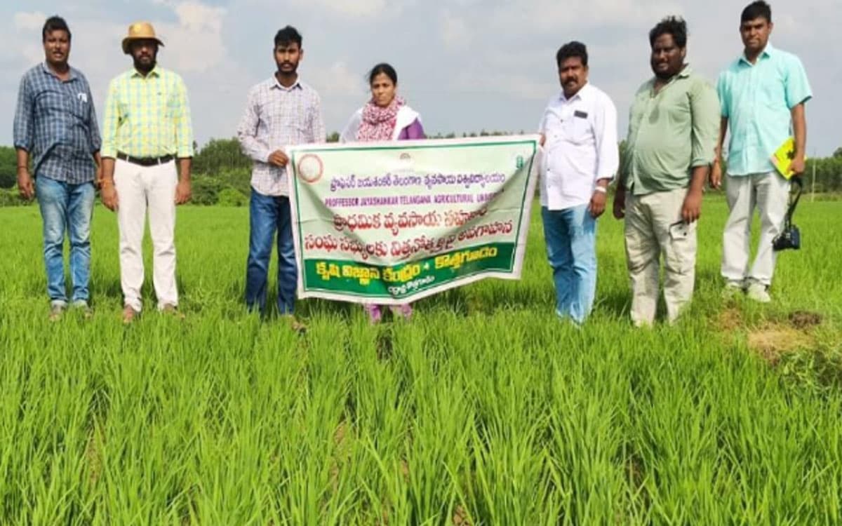 '​రైతుస్థాయిలోనే నాణ్యమైన విత్తన తయారీ జరగాలి'
