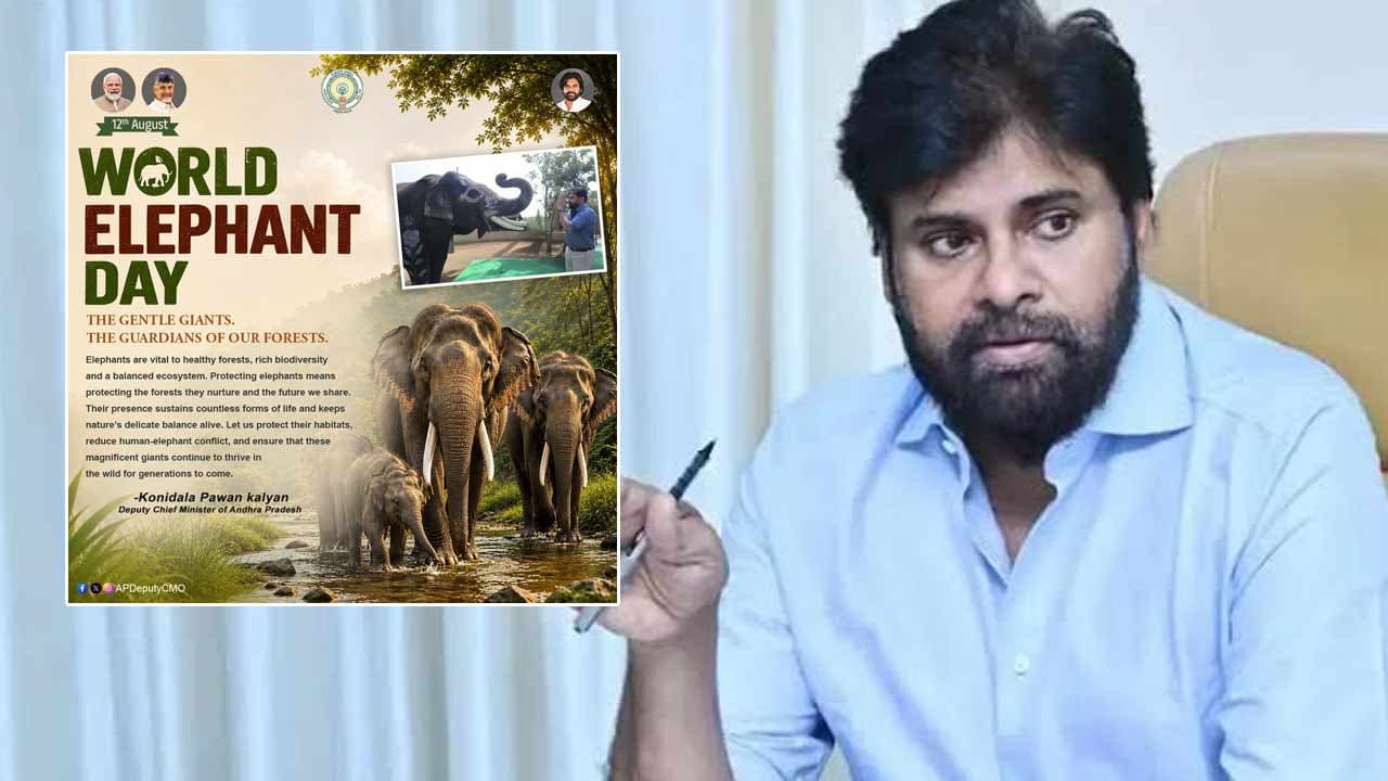 ప్రపంచ ఏనుగుల దినోత్సవం.. ఏనుగుల సంరక్షణపై పవన్ కల్యాణ్ కీలక సందేశం