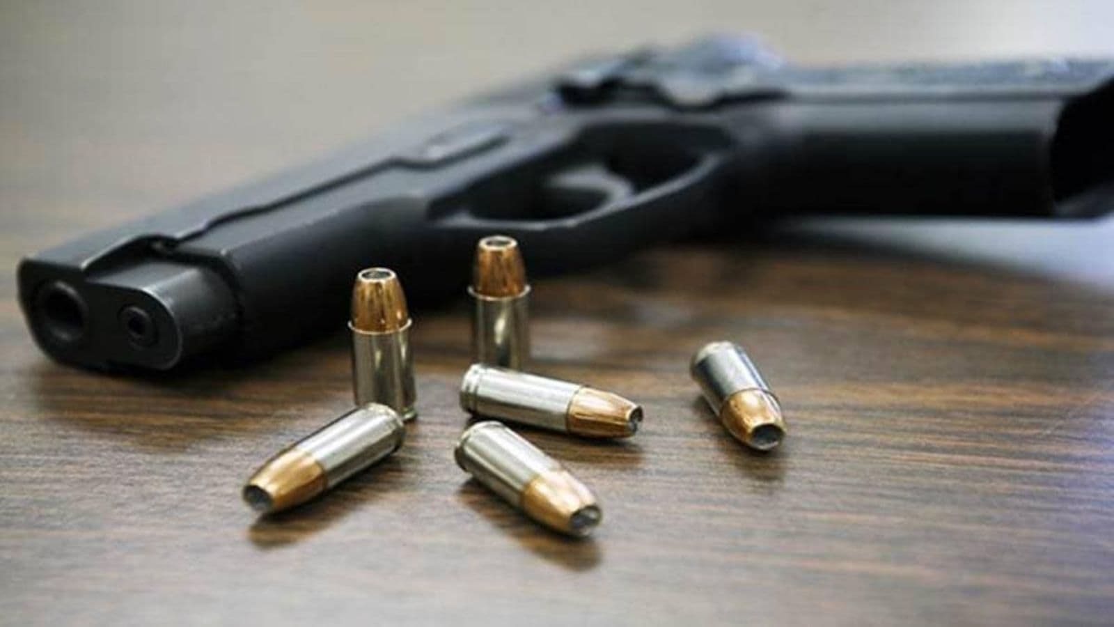 Punjab Halts New Arms Licences Irregularities