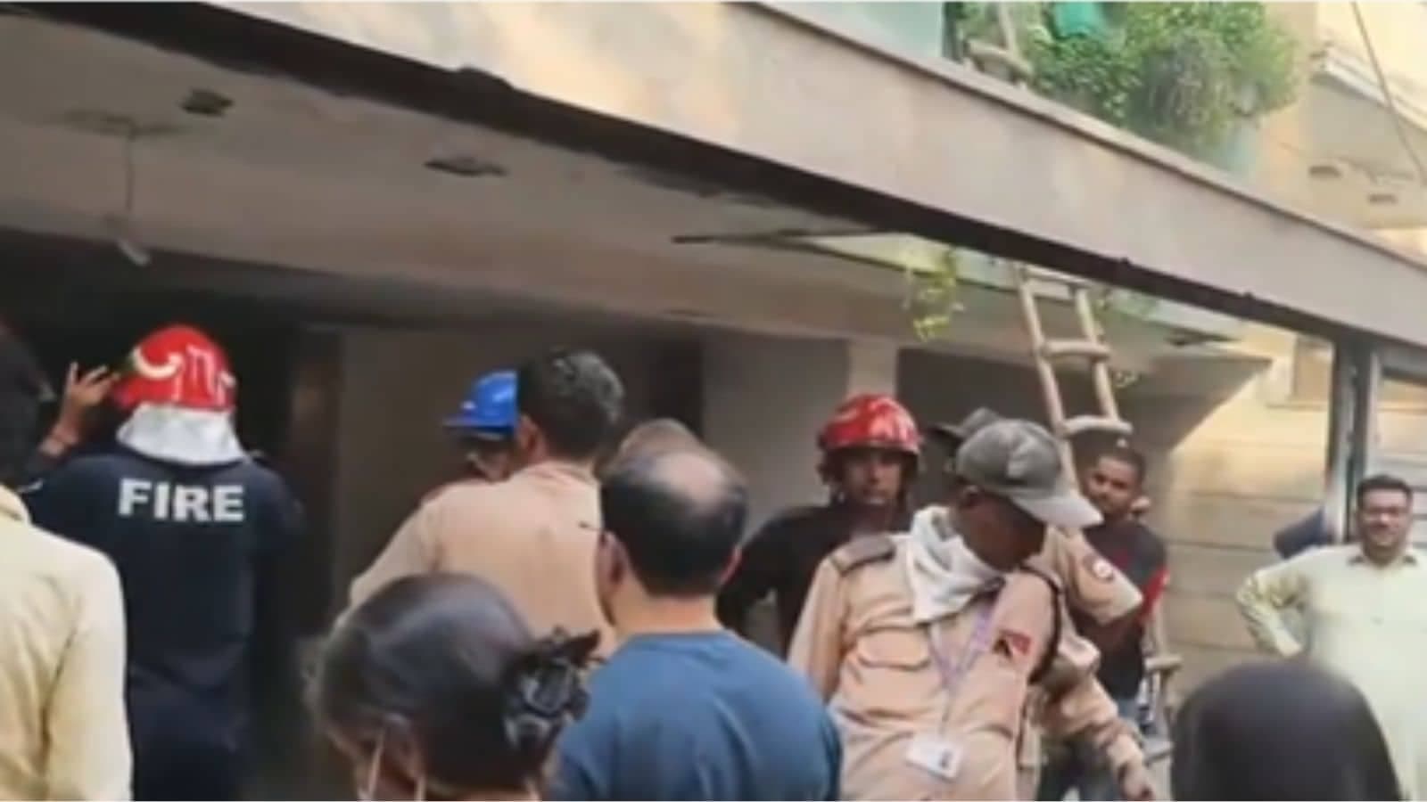 Fire Nfc 8 Rescued 2 Pets Killed