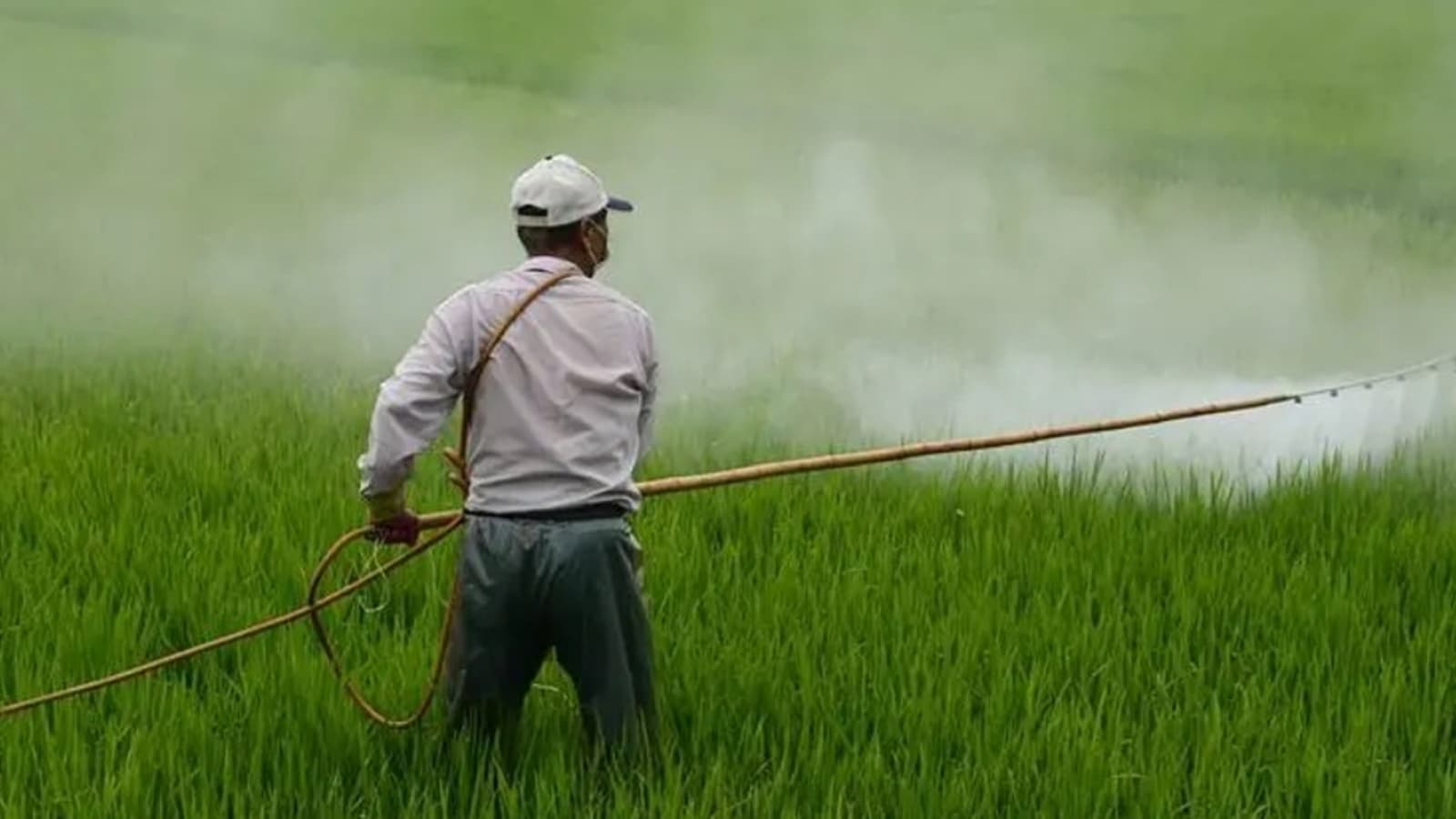 Doctors Missing Pesticide Illnesses Pan India Report