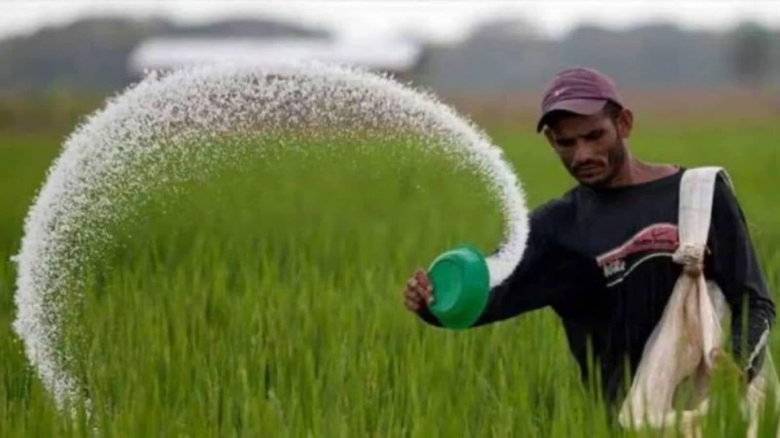 Himachal Pradesh Urea Consignment Kharif Paddy Season Fertiliser