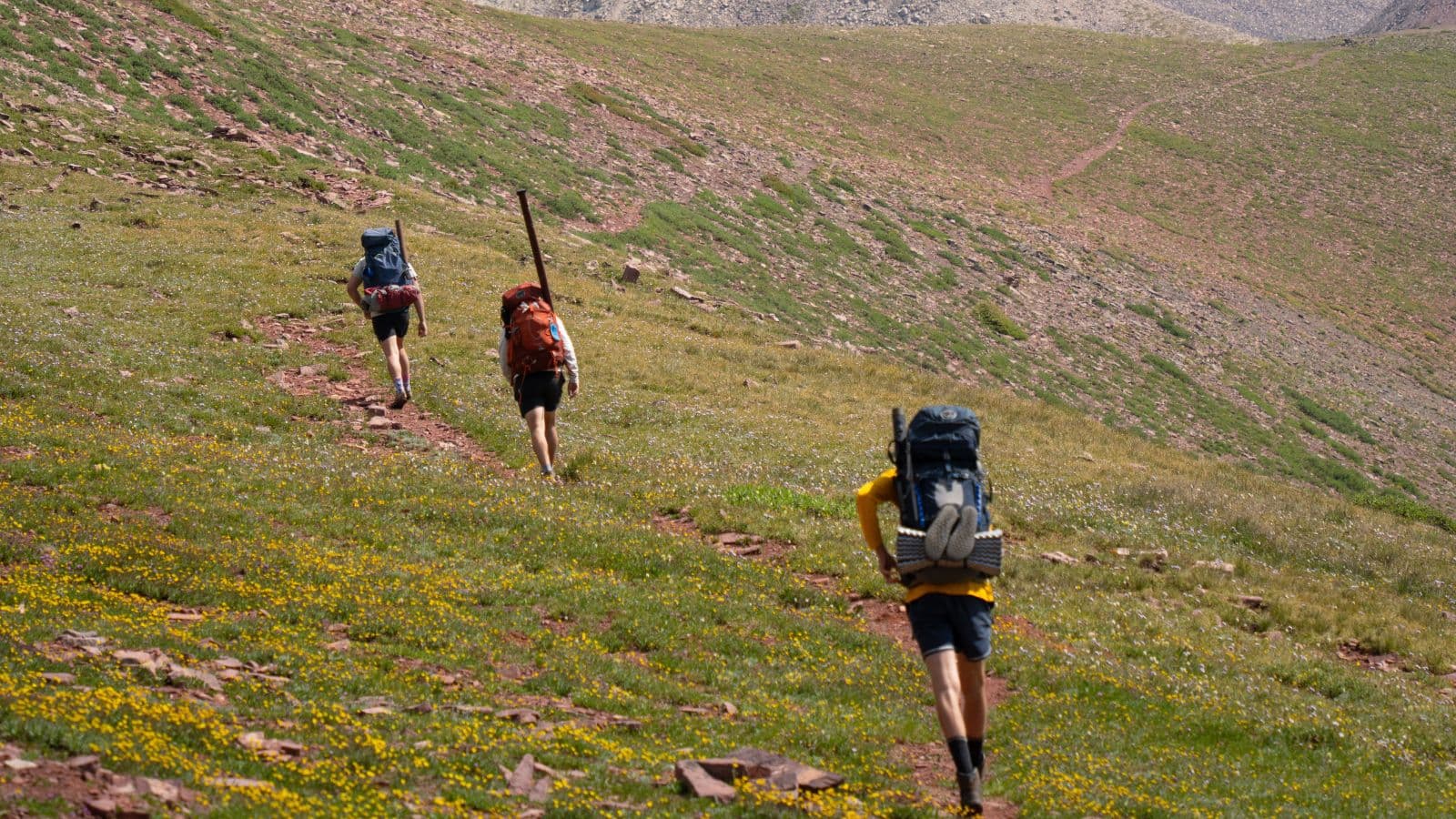 3 California hikers used AI to climb a mountain. Then they had to be rescued