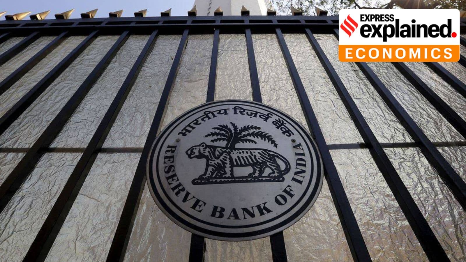 Why too much money in the banking system is a problem for the RBI