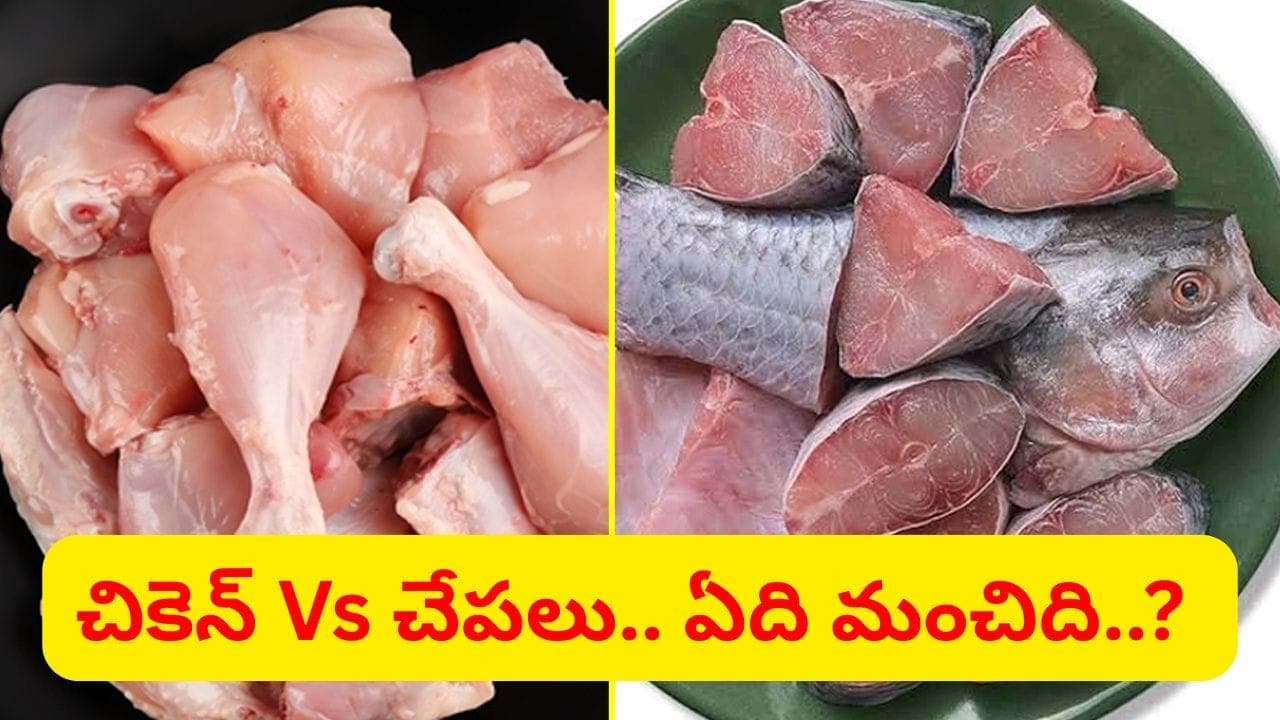 చికెన్ చేపలు.. అద్భుతమైన ఫుడ్ ఏంటో తెలుసా..? అందరూ అనుకునేది మాత్రం కాదు