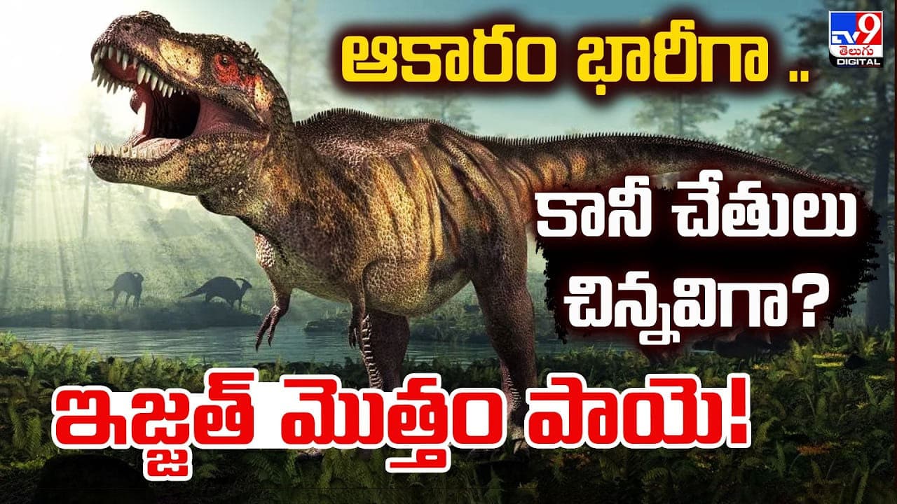 ఆకారం భారీగా.. కానీ చేతులు చిన్నవిగా? ఇజ్జత్ మొత్తం పాయె