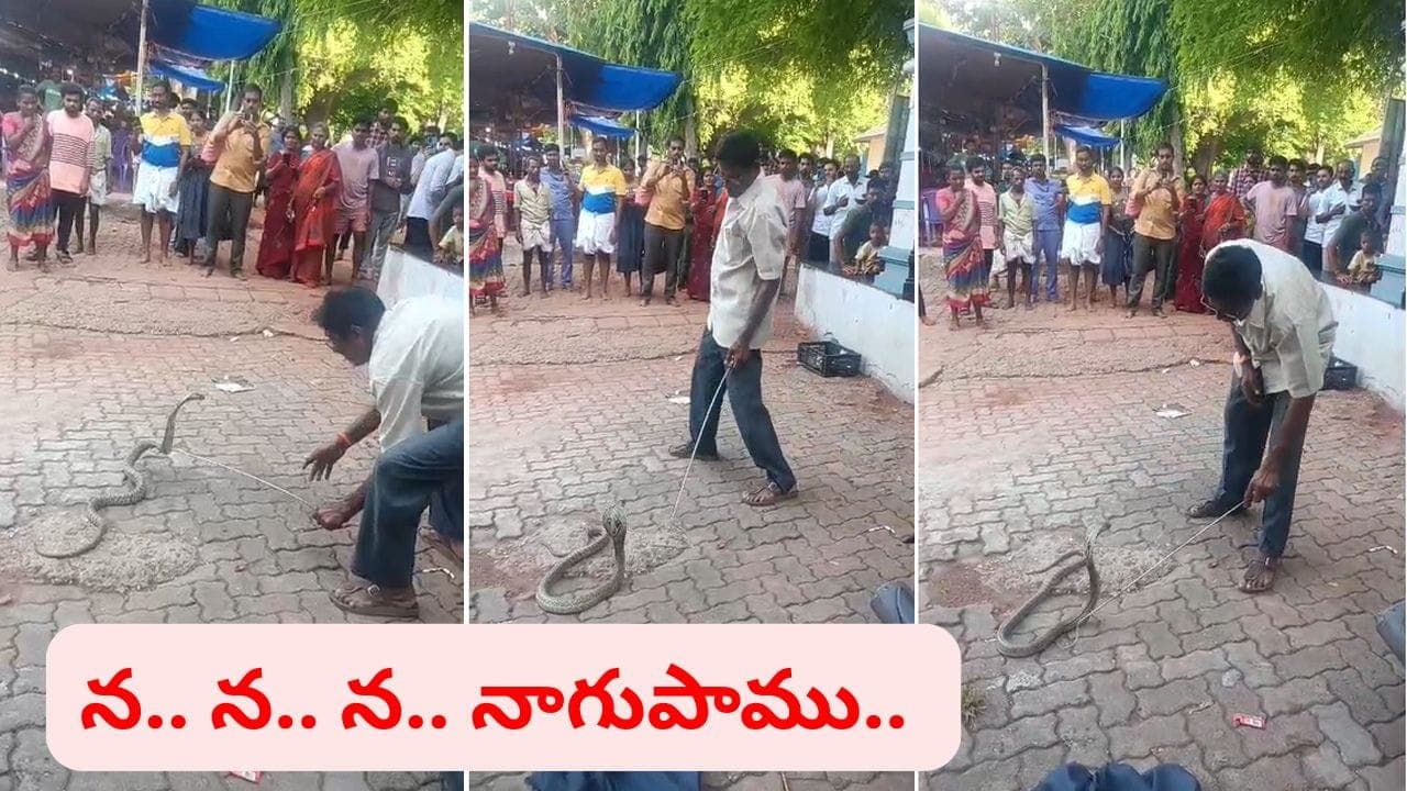 అమ్మబాబోయ్..! నడకమార్గంలో నాగుపాము.. బుసలు కొట్టి ఏం చేసిందంటే