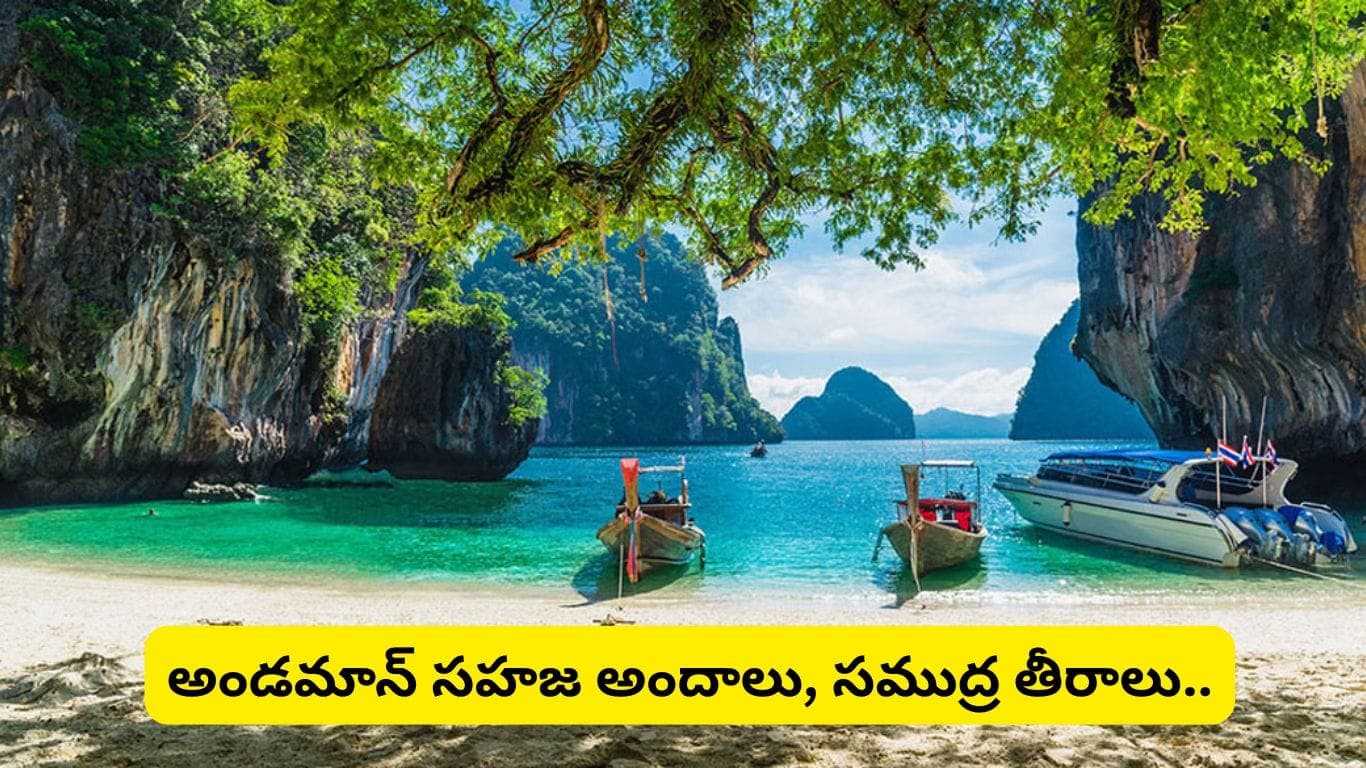 అండమాన్ ట్రిప్ ప్లాన్ చేస్తున్నారా? 5 రోజుల్లో పోర్ట్ బ్లెయిర్, హావ్ లాక్, నీల్ ఐలాండ్ సందర్శన.. ప్యాకేజీ