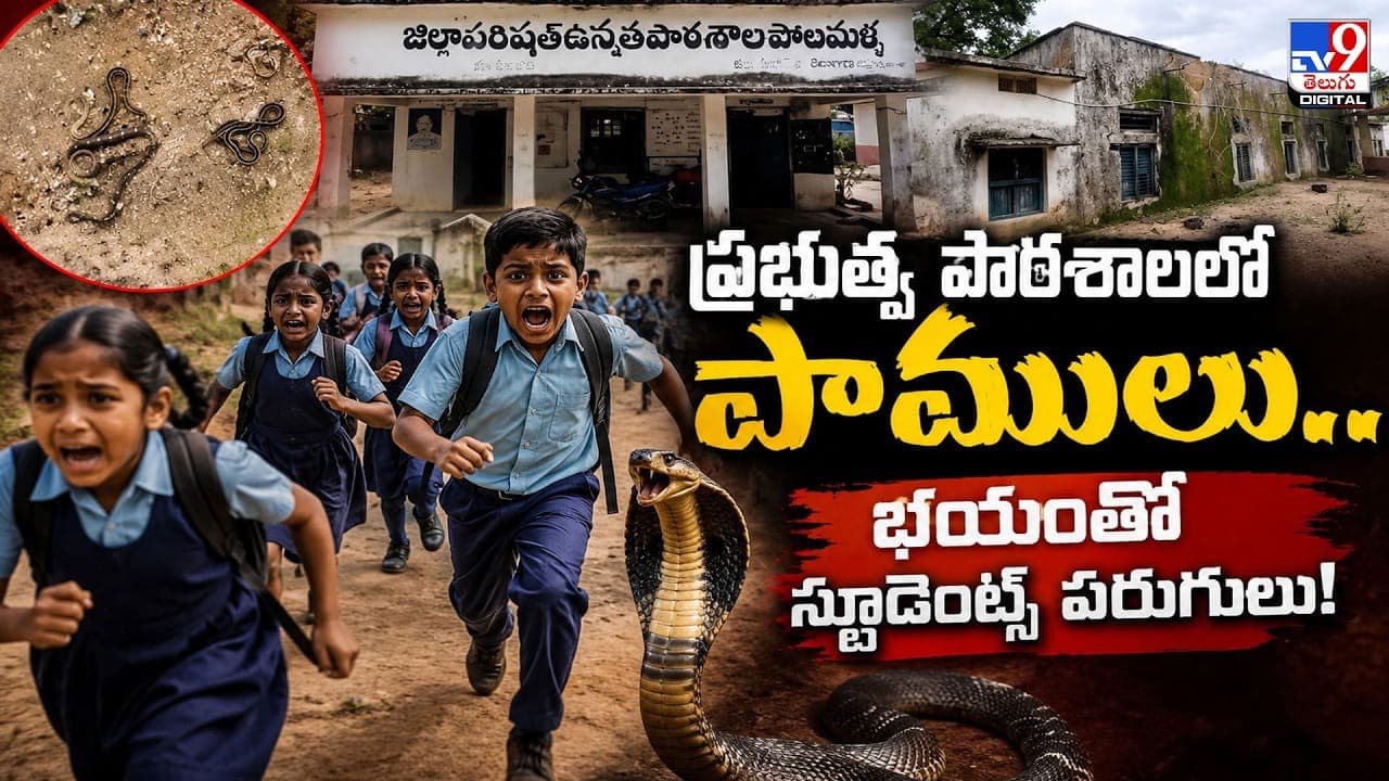 ప్రభుత్వ పాఠశాలలో పాములు.. భయంతో స్టూడెంట్స్ పరుగులు