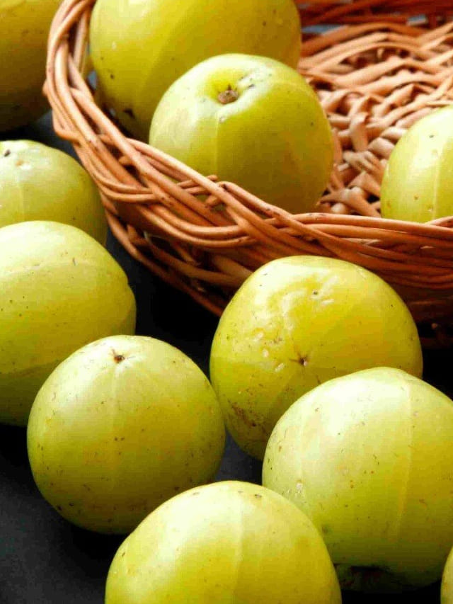 ఉసిరి నిజంగానే డయాబెటీస్ ను తగ్గిస్తుందా? వాస్తవమేంటి