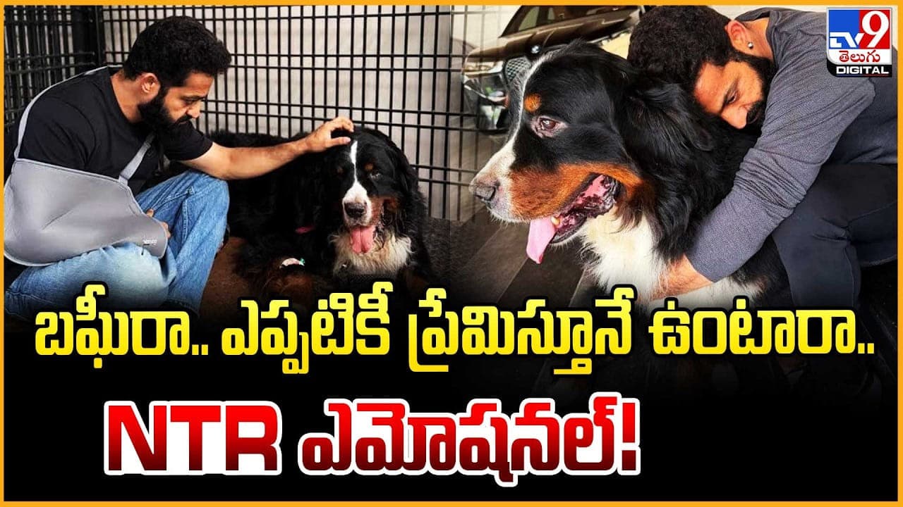 బఘీరా.. ఎప్పటికీ ప్రేమిస్తూనే ఉంటారా.. ఎమోషనల్