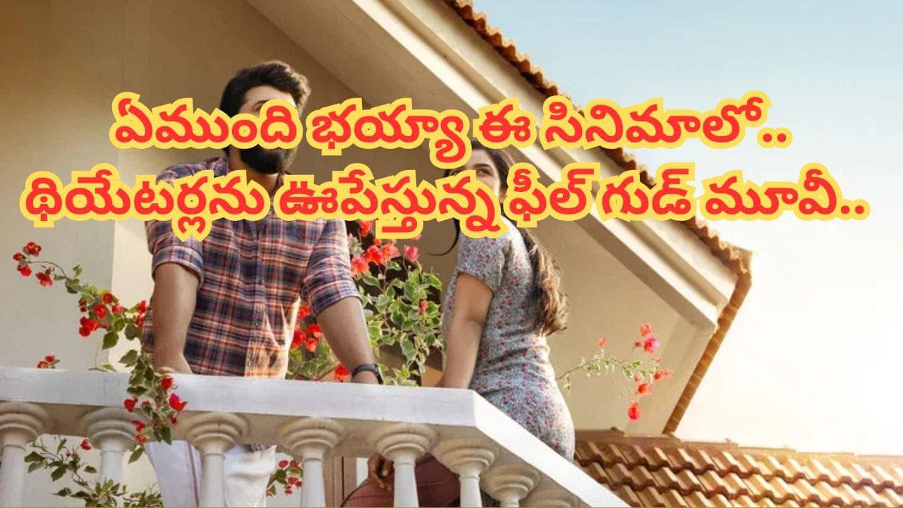 Cinema : థియేటర్లలో దుమ్మురేపుతున్నప్రేమకథ.. 23 కోట్లతో తీస్తే 230 కోట్ల కలెక్షన్స్.. యూత్‏కు పిచ్చెక్కిస్తోన్న సినిమా..