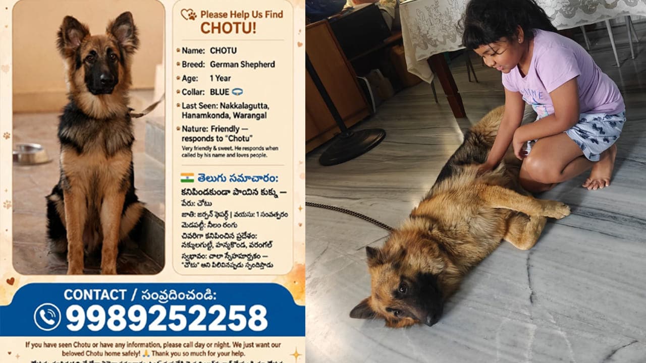 అల్లారుముద్దుగా పెంచుకున్న కుక్క మిస్సింగ్.. కనిపిస్తే వెంటనే చెప్పండి.. రూ.5 వేల రివార్డ్!