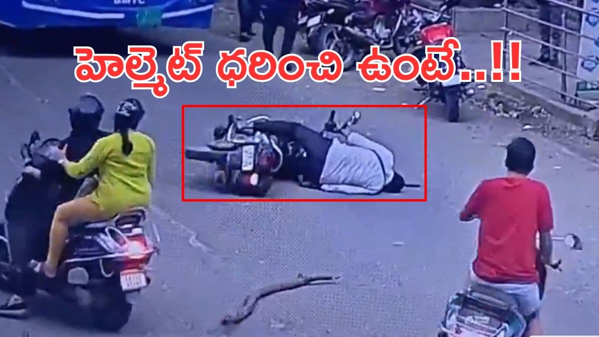 చెట్టు కొమ్మ విరిగి తలపై పడింది - కోమాలో బైకర్