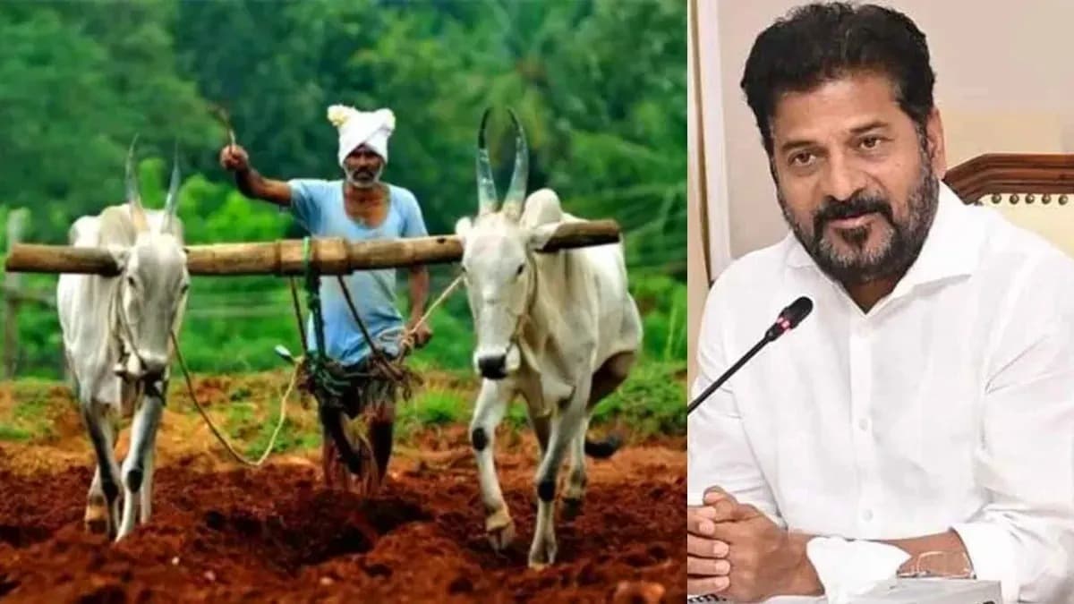 కొత్తగా వారికీ రైతు భరోసా, ప్రభుత్వం నిర్ణయం- దరఖాస్తులు.. మార్గదర్శకాలు