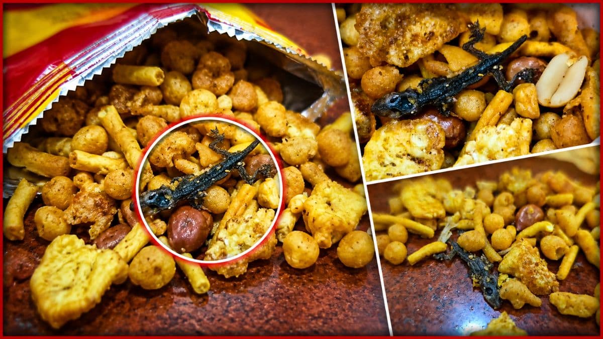 తింటే ప్రాణాలు పోవాల్సిందే! స్నాక్స్ ప్యాకెట్లో బల్లి