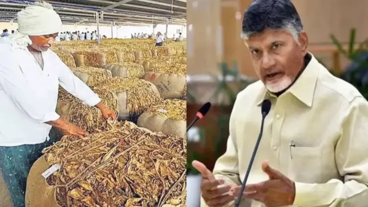రెండేళ్ళపాటు రూ.50వేల వడ్డీలేని రుణం.. మంత్రి ప్రకటనతో ఏపీలో వారికి తీపికబురు