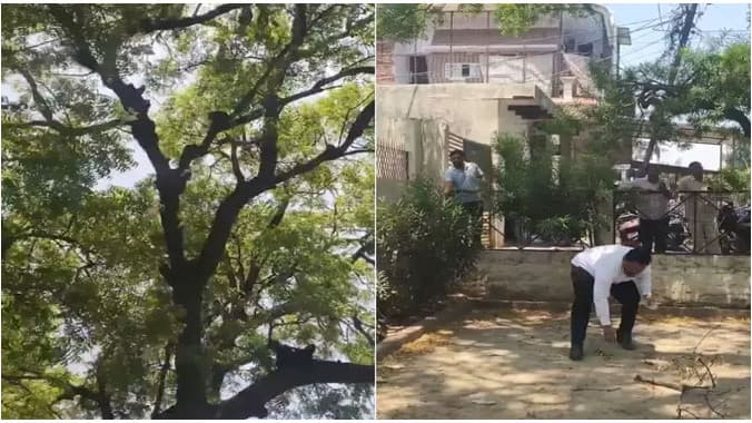 రూ. 2 లక్షల బ్యాగ్ తో కోతి పరార్.. ఆ తర్వాత సీన్ కట్ చేస్తే