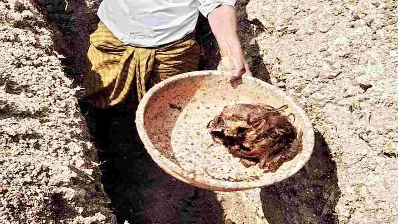 ఆరడుగుల నేల కోసం
