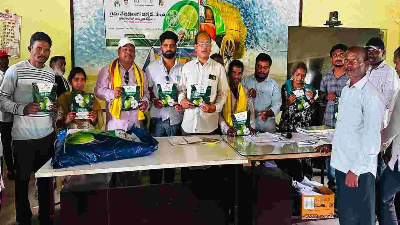 అధిక సాంద్రత పద్ధతి పత్తి సాగుతో ప్రయోజనం