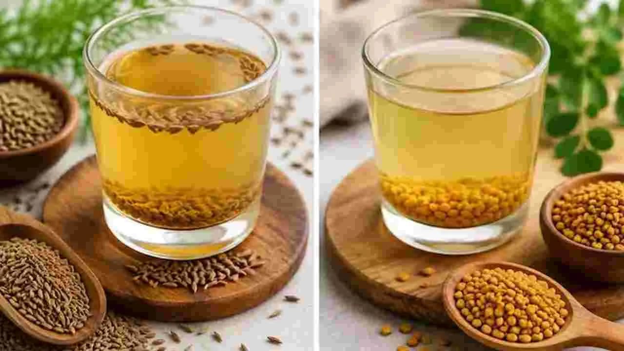 జీలకర్ర, సెలెరీ, మెంతుల నీరు.. ఉదయం ఖాళీ కడుపుతో తాగడానికి ఏది ఎక్కువ మంచిది
