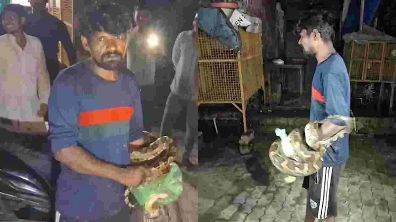 మేకను తినేందుకు వచ్చిన కొండచిలువ.. మద్యం మత్తులో యువకుడు ఏం చేశాడంటే