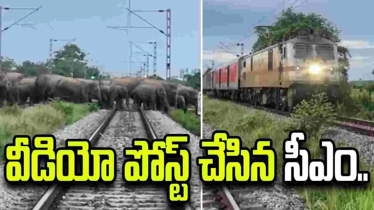 రైల్వే ట్రాక్ పై ఏనుగులు.. దూసుకొచ్చిన రైలు.. వీడియో పోస్ట్ చేసిన సీఎం