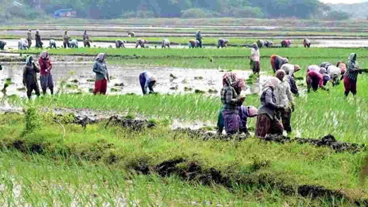 రైతన్నా.. మీకోసం