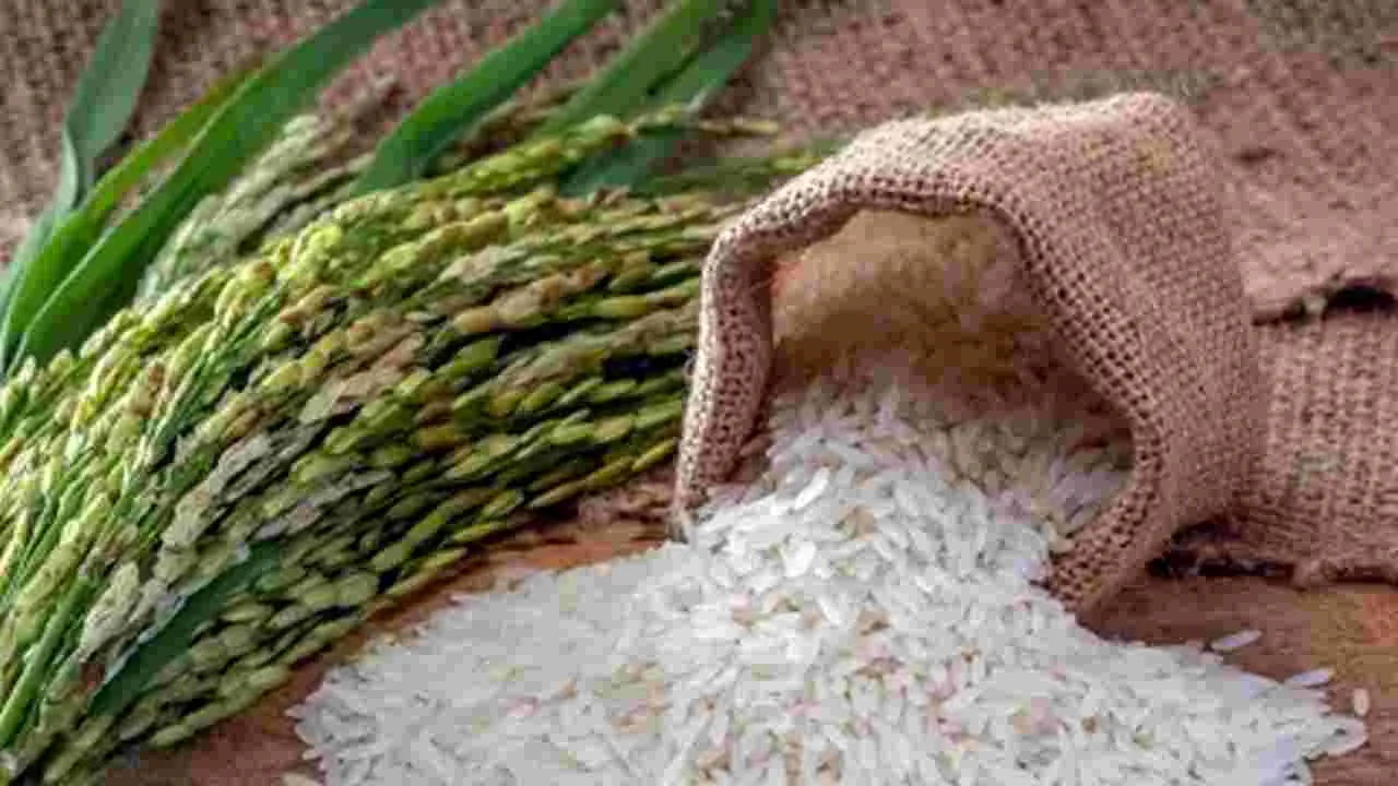 ధాన్యానికి రికార్డు ధర