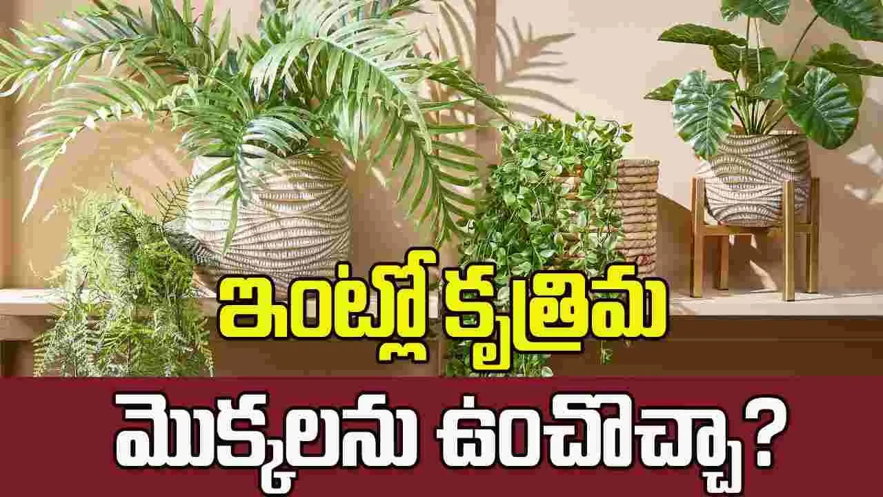 వాస్తు ప్రకారం ఇంట్లో ఆర్టిఫిషియల్ ప్లాంట్స్ ఉంచొచ్చా