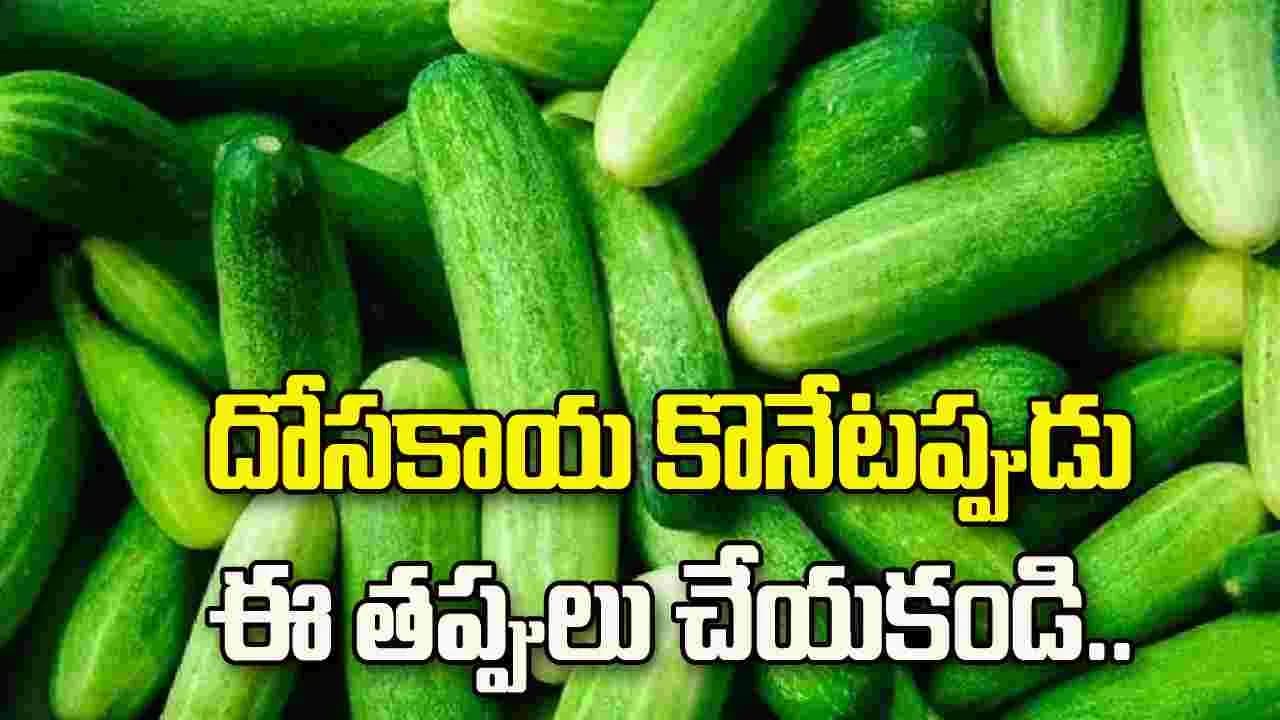 దోసకాయ కొనేటప్పుడు ఈ తప్పులు చేయకండి