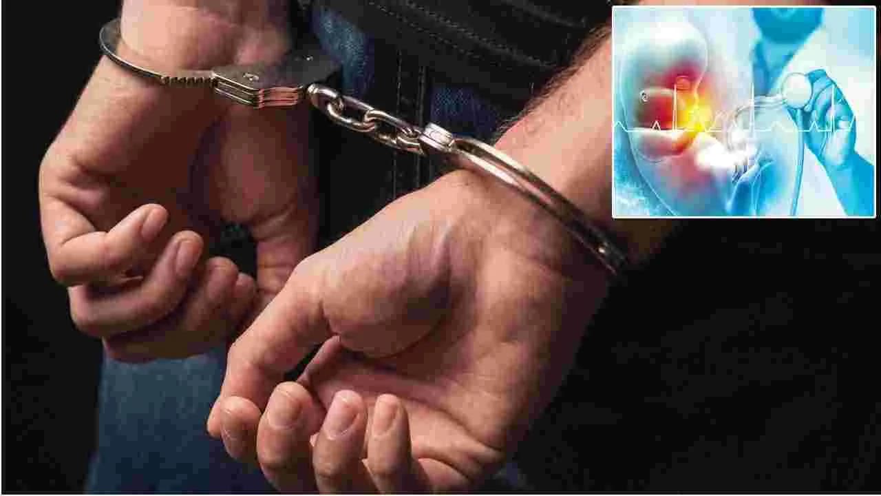హైదరాబాద్ లో అక్రమ లింగ నిర్ధారణ రాకెట్ భగ్నం