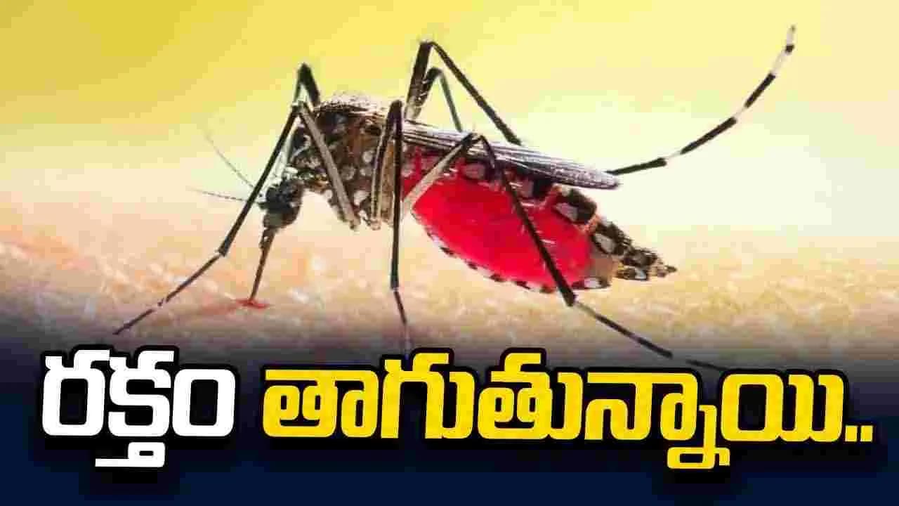 రక్తం తాగుతున్నాయి
