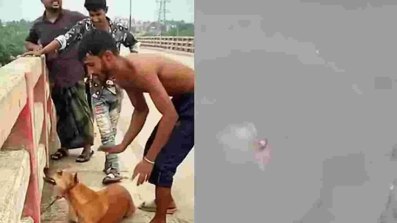 కుక్క మెడకు ఇటుక కట్టి నీటిలో పడేసిన యువకుడు.. చివరికి