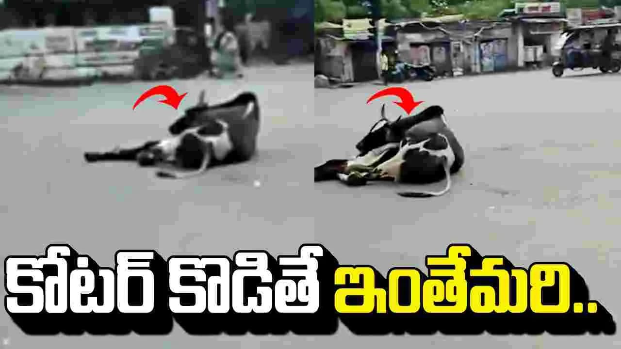 నడి రోడ్డుపై ఈ మందుబాబు నిర్వాకం చూస్తే అవాక్కవ్వాల్సిందే