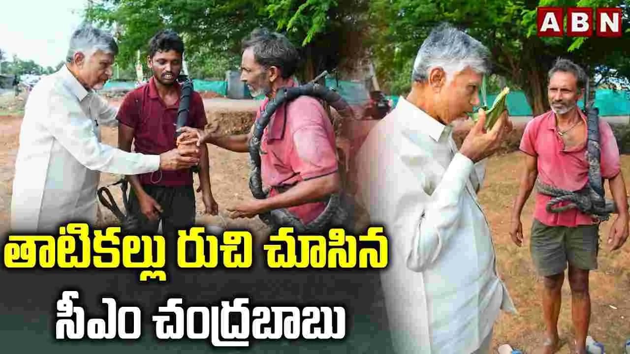 తాటికల్లు రుచి చూసిన సీఎం చంద్రబాబు