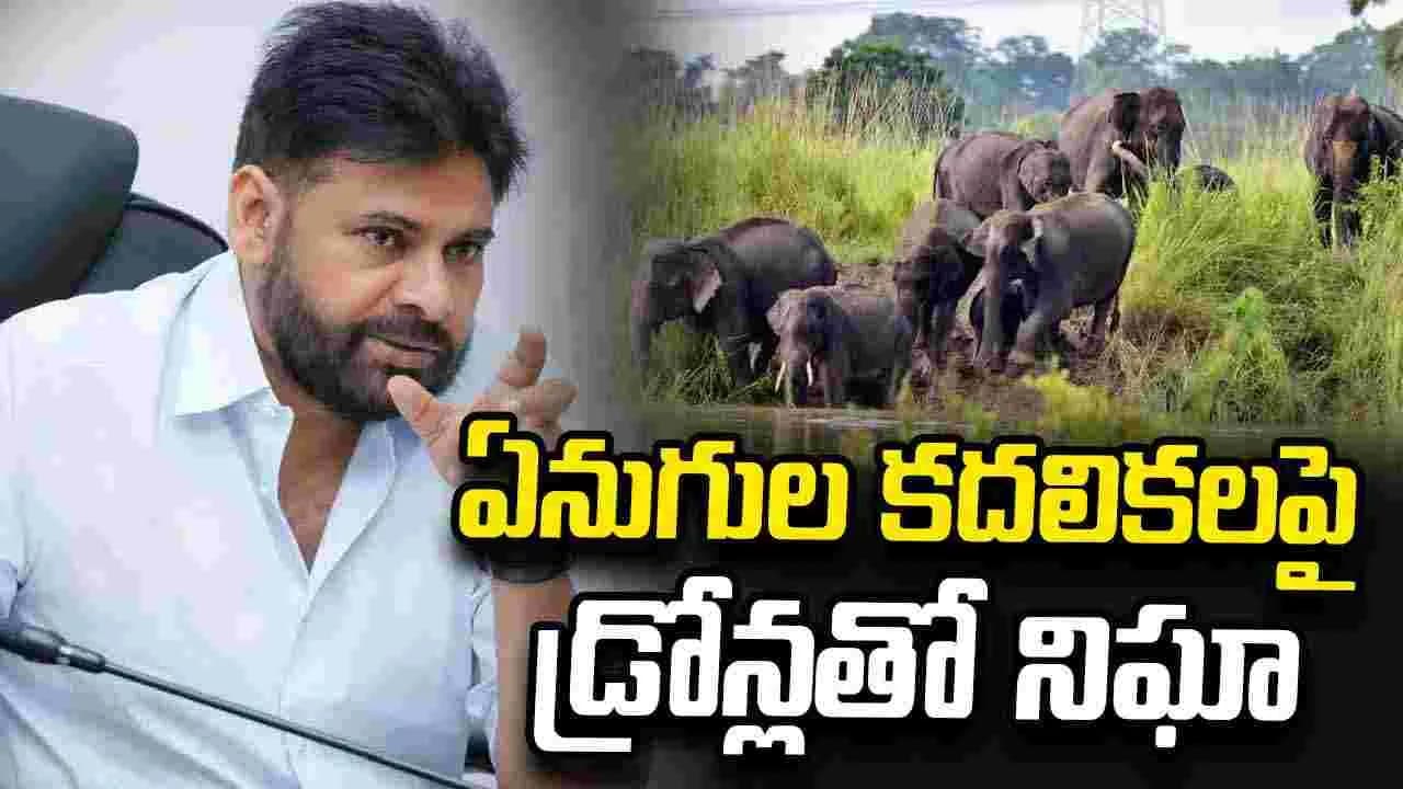 ఏనుగుల సంచారం.. ప్రజలను అప్రమత్తం చేయండి