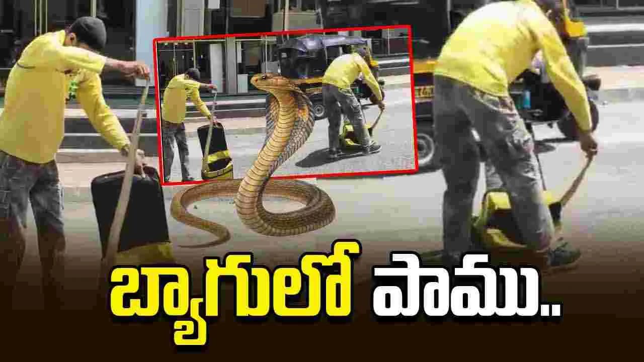 డెలివరీ బాయ్ బ్యాగులో పాము.. నడిరోడ్డులో రచ్చరచ్చ