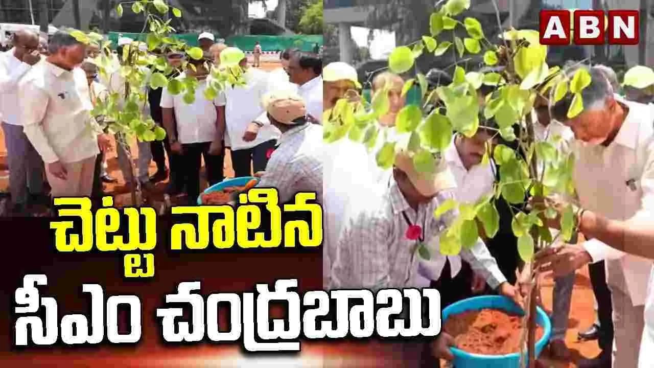 మొక్కలు పెంచే వాళ్లకే వచ్చే ఎన్నికల్లో టిక్కెట్లు.. సీఎం సరదా వ్యాఖ్యలు