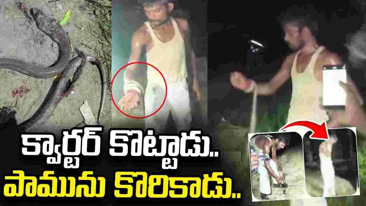 మందుబాబును కాటేసిన పాము.. చివరికి ఏమైందో మీరే చూడండి