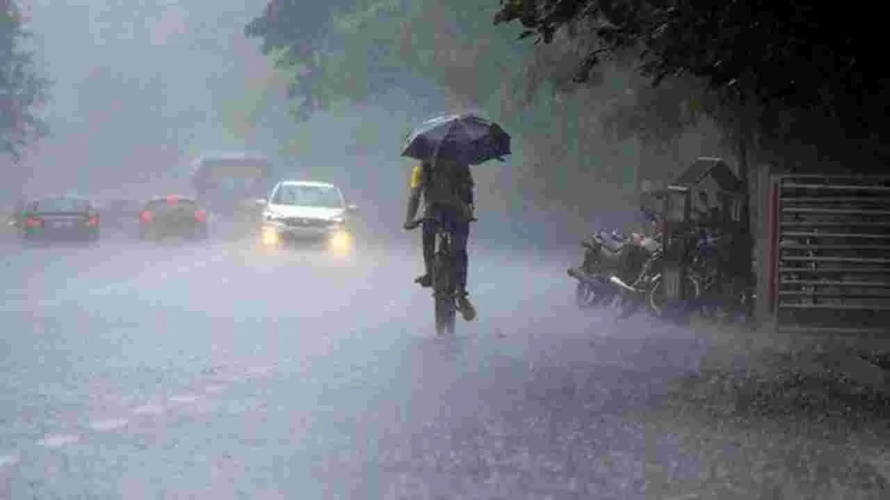 తమిళనాడులోని 16 జిల్లాల్లో విస్తారంగా వర్షాలు కురిసే అవకాశం
