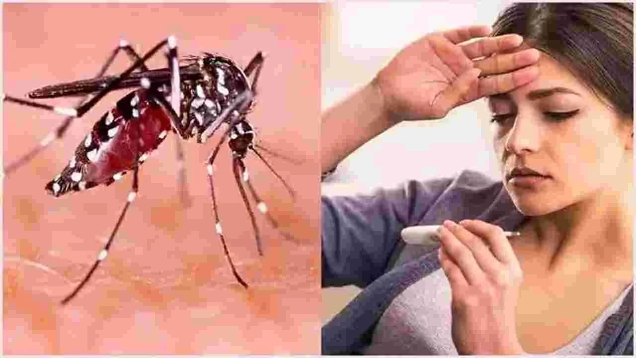 విజృంభిస్తున్న విషజ్వరాలు..