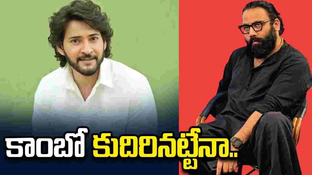 మహేష్ బాబు - సందీప్ రెడ్డి వంగా మరోసారి వైరల్