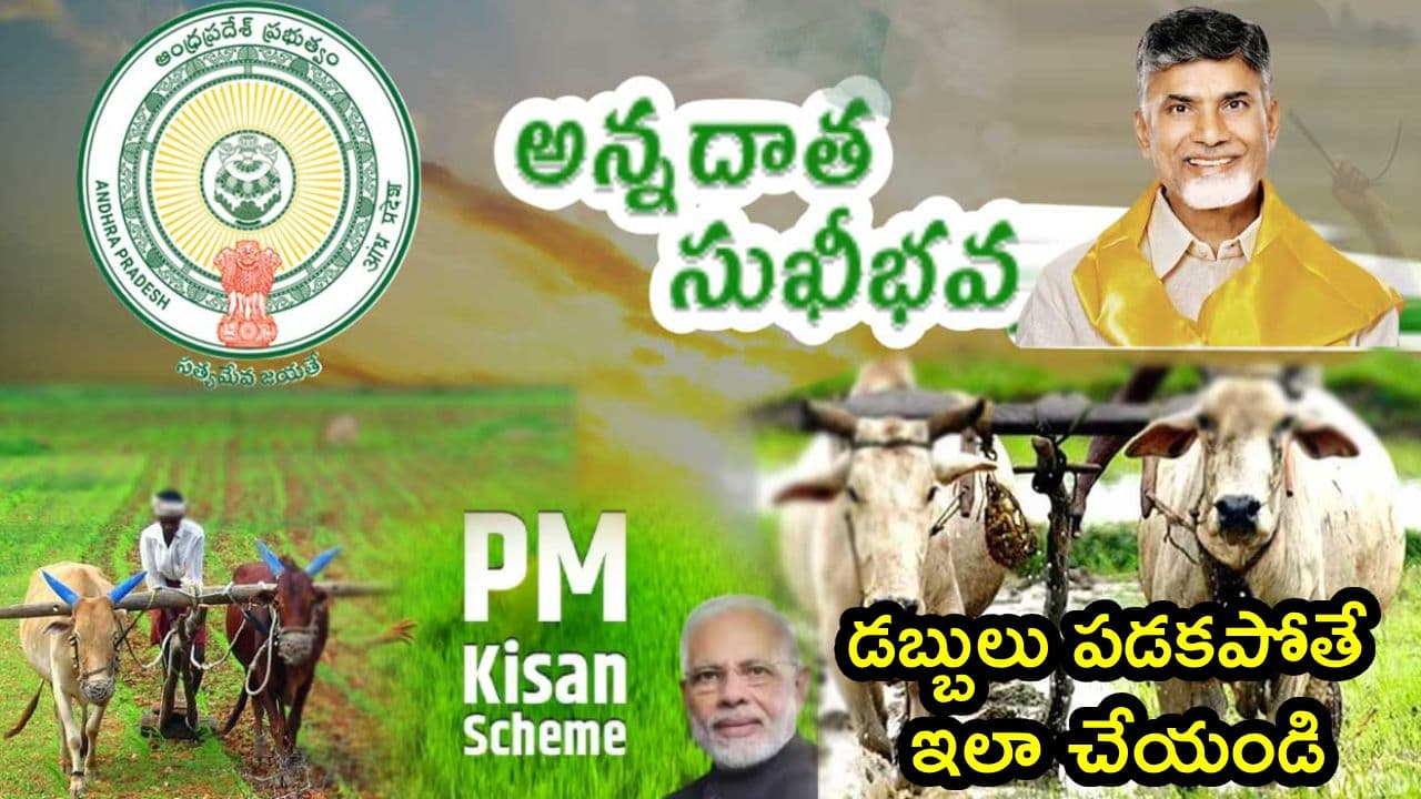 అన్నదాత సుఖీభవ- పీఎం కిసాన్ డబ్బులు రాకపోతే ఏం చేయాలి? ఇదిగో సింపుల్ ప్రాసెస్