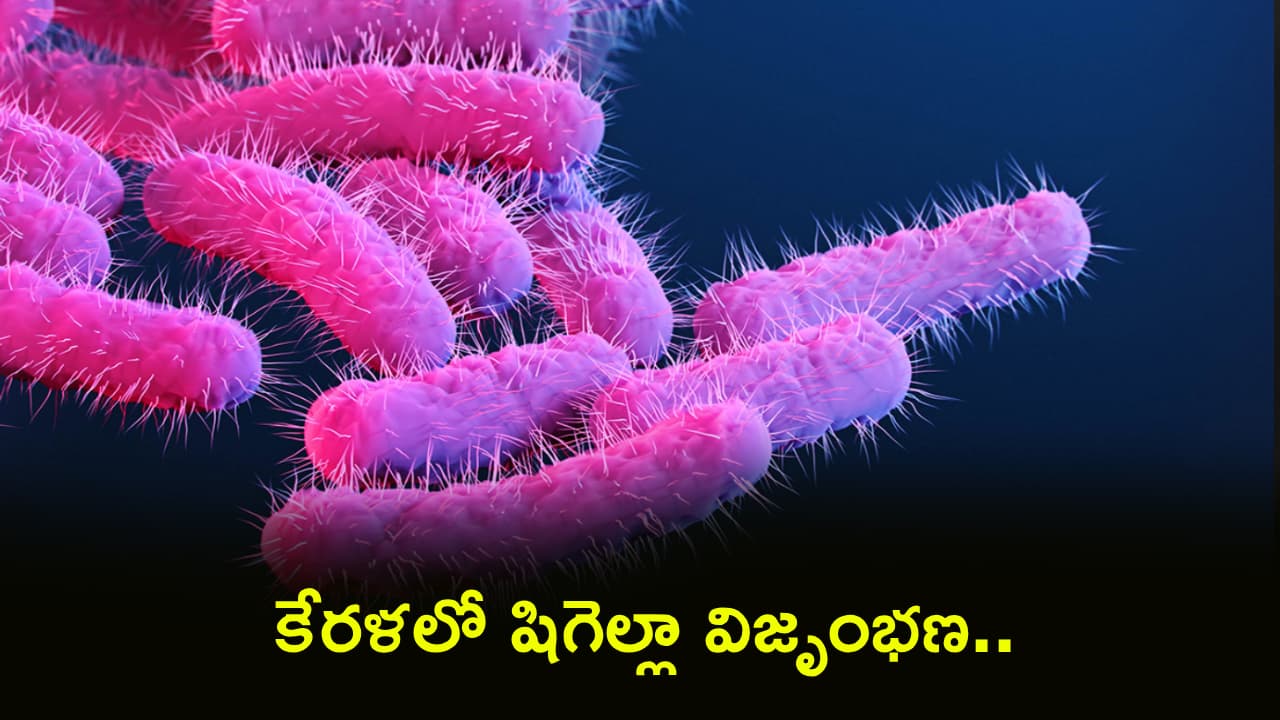 కేరళలో షిగెల్లా విజృంభణ.. 226 కేసులు, 6 మరణాలు!.. ఈ లక్షణాలుంటే జాగ్రత్త