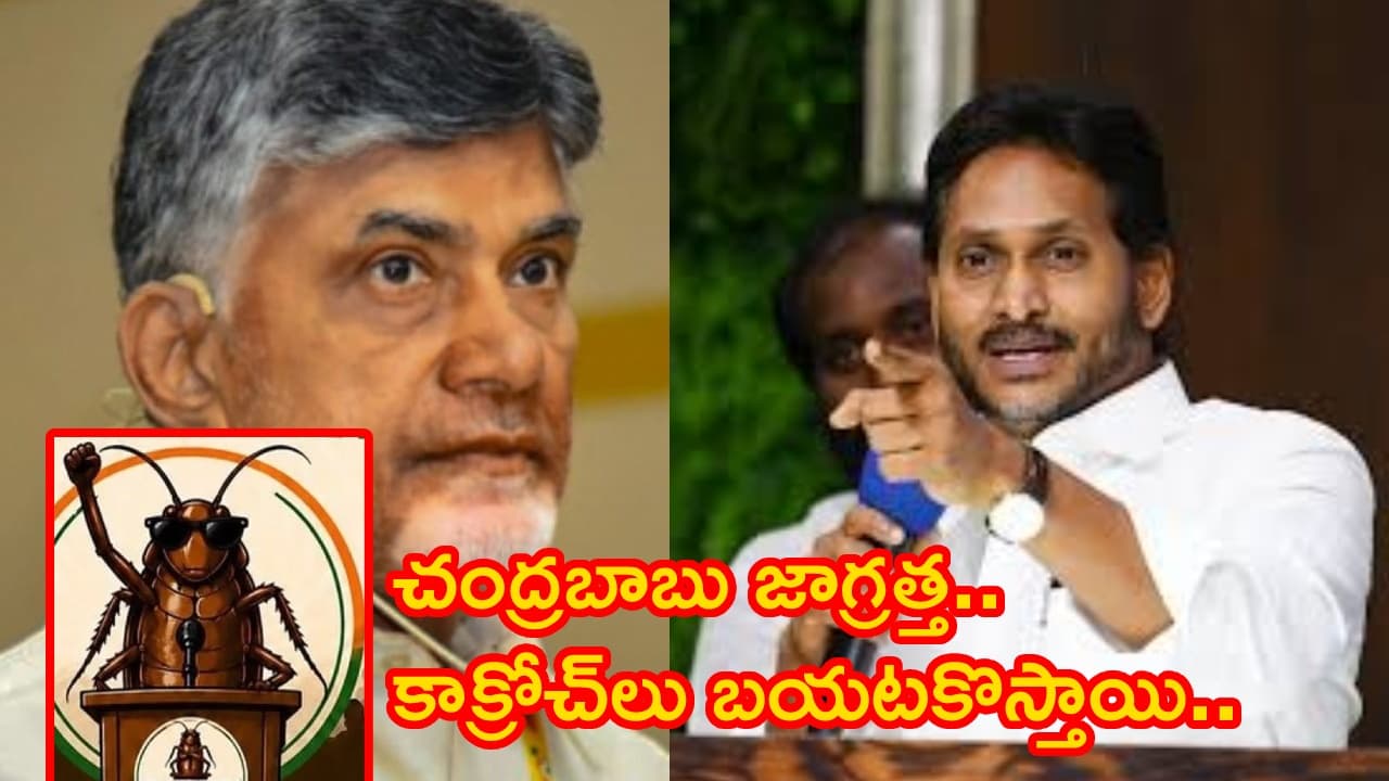 జాగ్రత్త చంద్రబాబు.. ఏపీలో కూడా కాక్రోచ్ లు బయటకు వస్తాయి.. జగన్ సంచలన కామెంట్స్