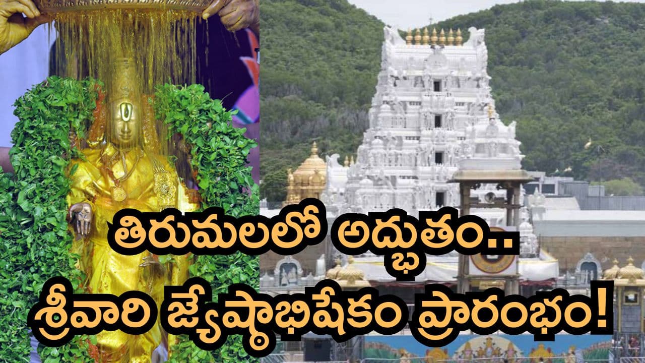 తిరుమలలో శాస్త్రోక్తంగా ప్రారంభమైన శ్రీవారి జ్యేష్ఠాభిషేకం.. ఏడాదికి ఒక్కసారే జరిగే ఆ రహస్య క్రతువు వెనుక కథ ఇదీ