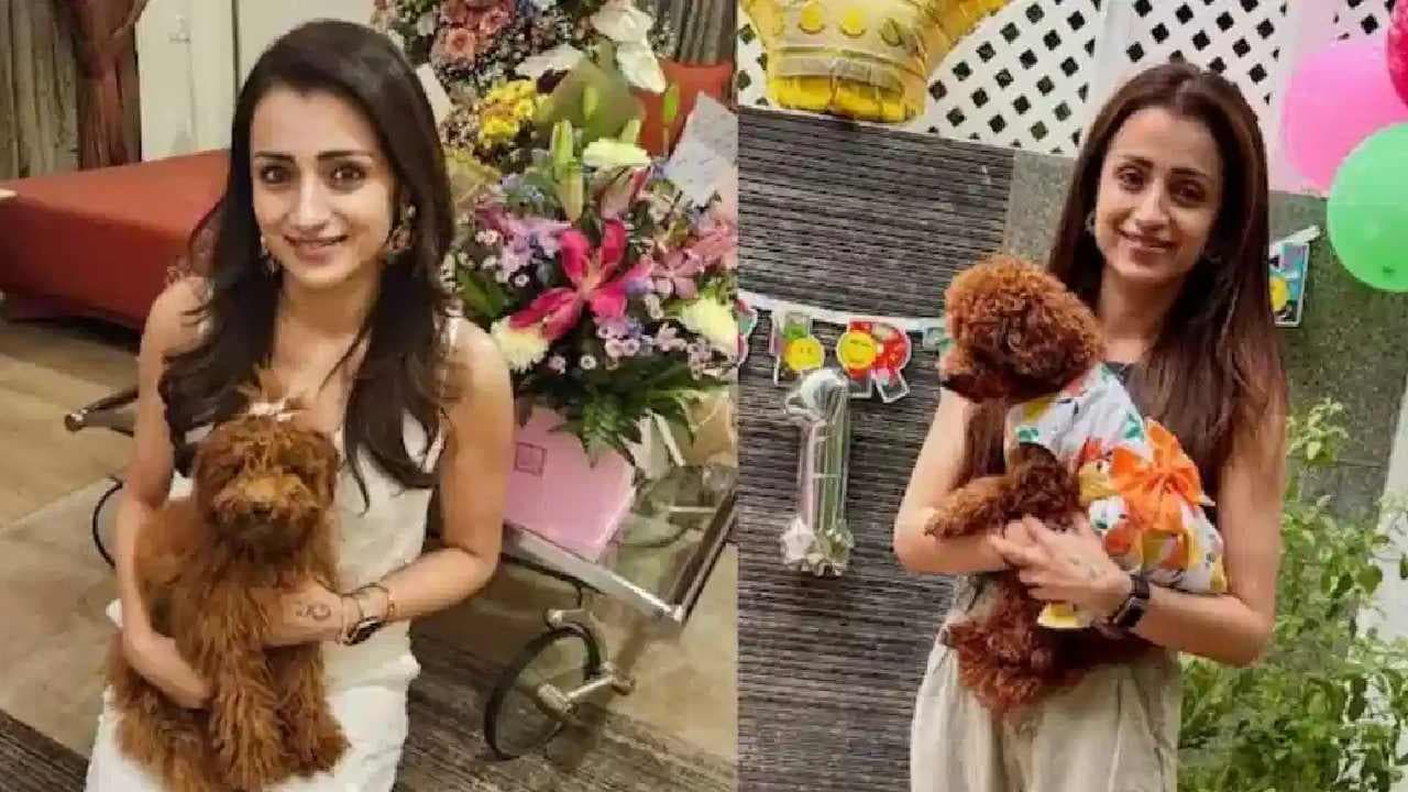 చెన్నైలో రూ.10 కోట్ల ఇల్లు.. త్రిష ఆస్తుల చిట్టా ఇదిగో