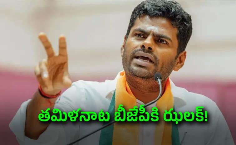 అన్నామలై కొత్త పార్టీ
