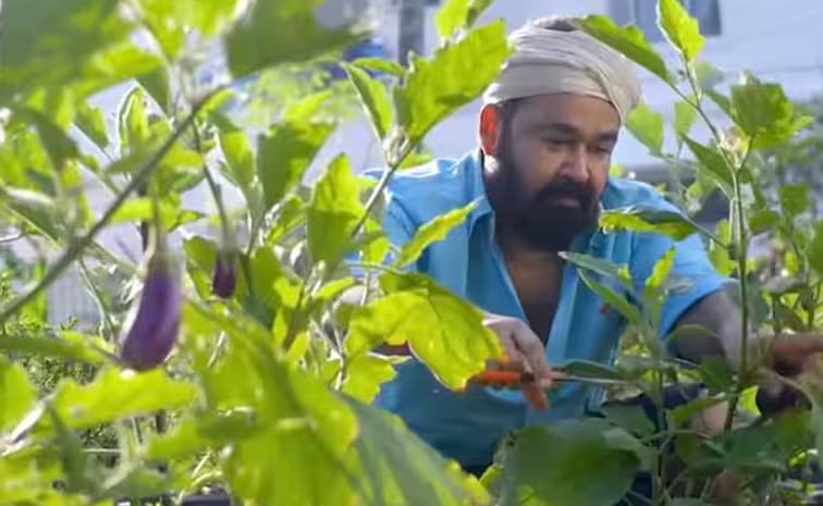 వారెవ్వా! నటనలోనే కాదు, ఫార్మింగ్ లోనూ సూపర్ స్టారే